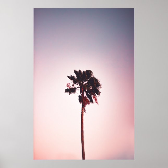 GREEN LEAFED TREE UNDER BLUE SKY POSTER (Vorne)