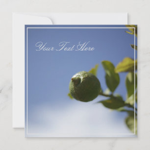 Green Lemon Limon Ihre Textflachkarte