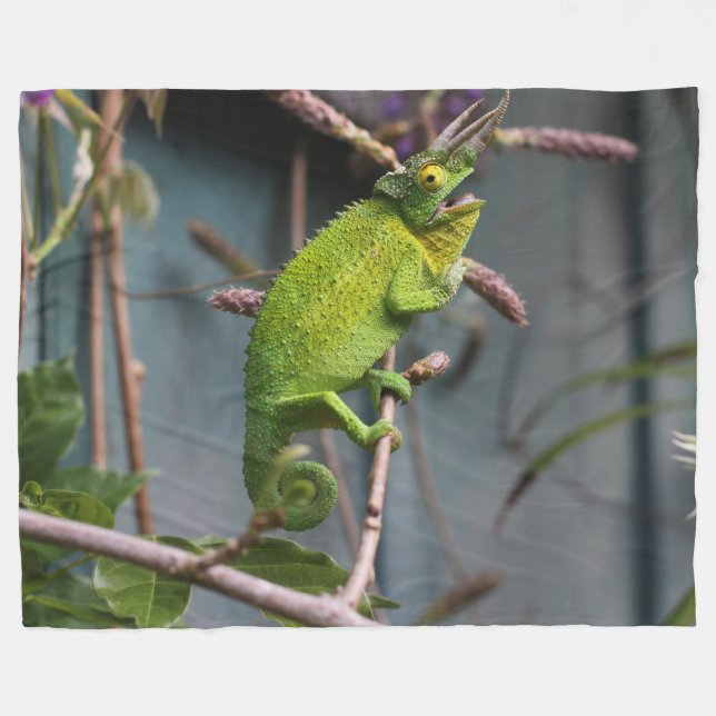 GREEN LIZARD FLEECEDECKE (Vorderseite (Horizontal))