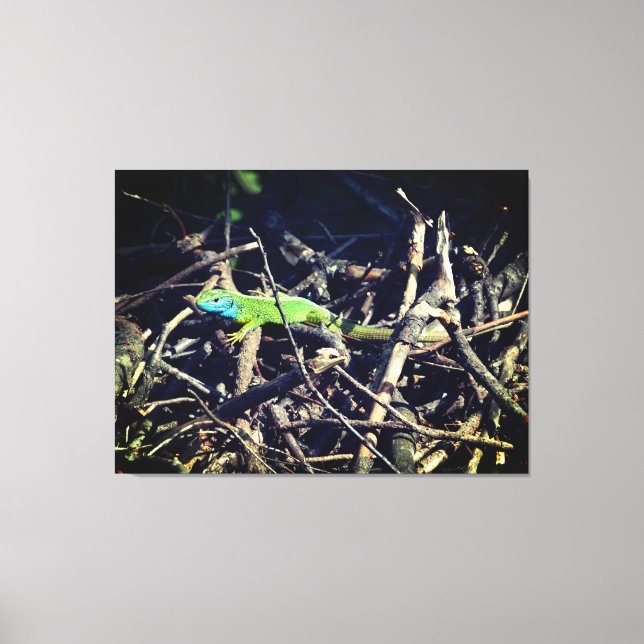 Green Lizard Stretched Canvas Print Leinwanddruck (Vorderseite)