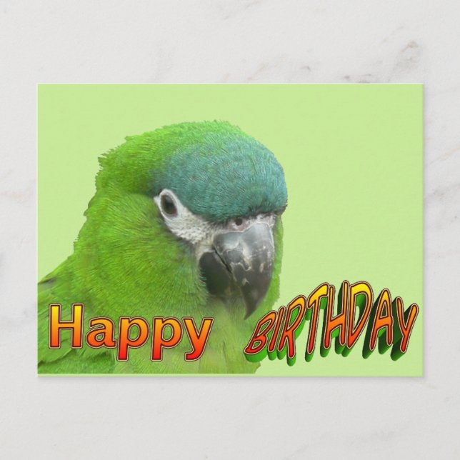 Green Lorikeet Happy Birthday Cust. Postkarte (Vorderseite)