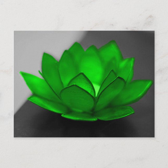 Green Lotus Postkarte (Vorderseite)