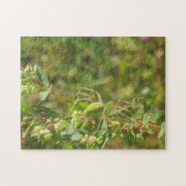 Green Lynx Spider