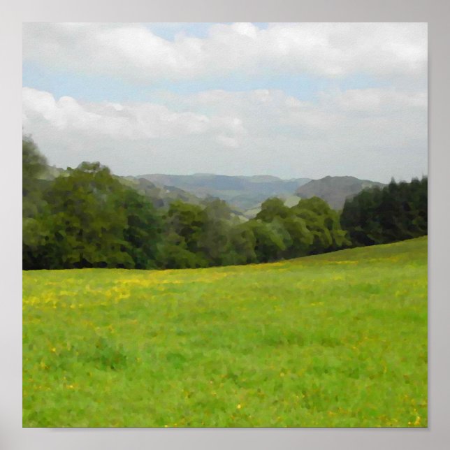 Green meadow. Countryside scenery. Poster (Vorne)