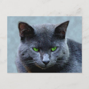 Green Mit Augen Cat Postcard Postkarte