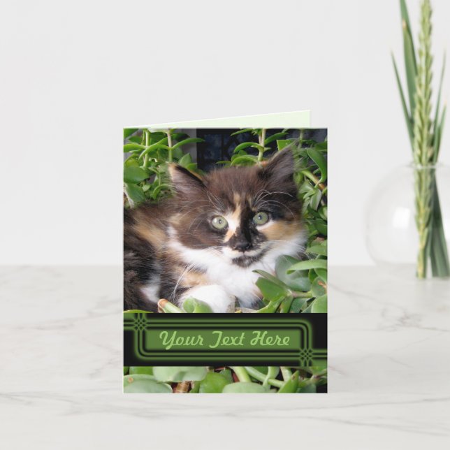 Green Mit Augen Chat Note Card Karte (Vorderseite)