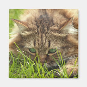 Green Mit Augen Hunter Magnet