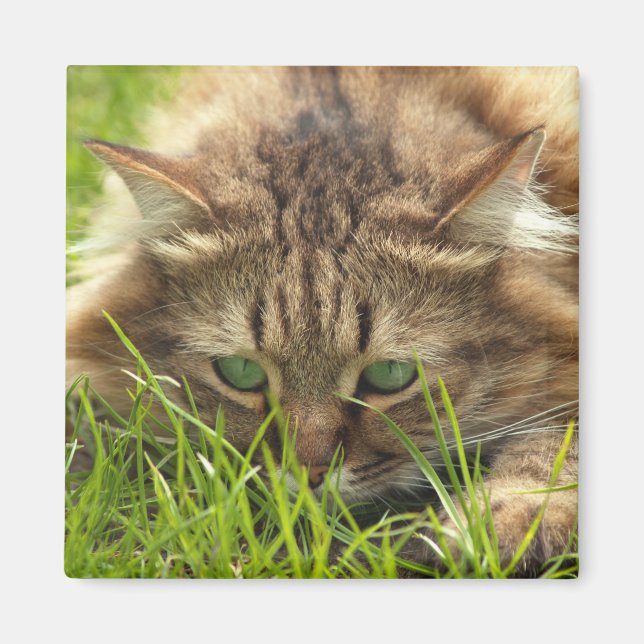 Green Mit Augen Hunter Magnet (Vorne)