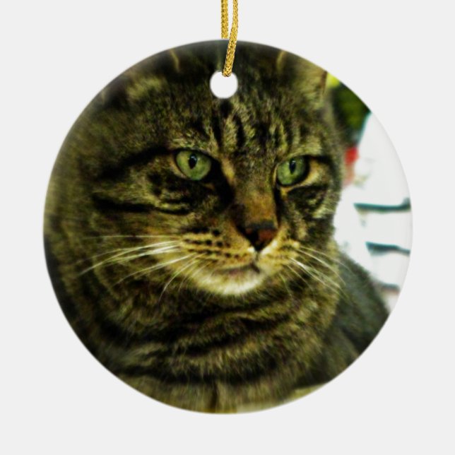 Green Mit Augen Tabby Face Keramikornament (Vorne)