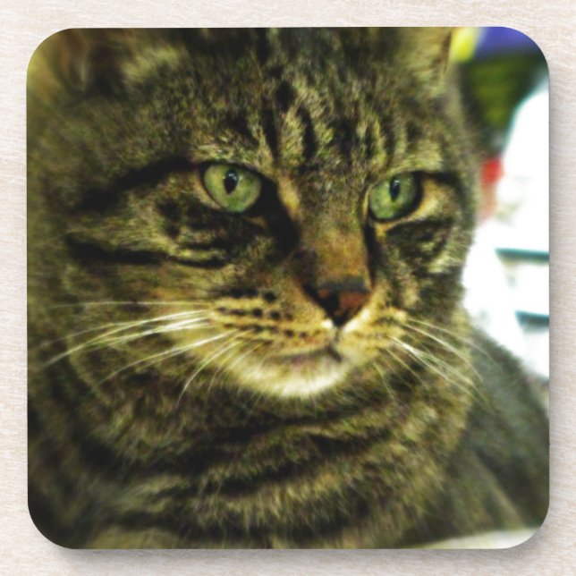 Green Mit Augen Tabby Face Untersetzer (Vorderseite)