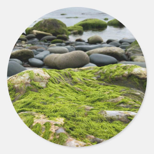 Green Moss Rocks Runder Aufkleber (Vorderseite)