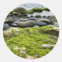 Green Moss Rocks