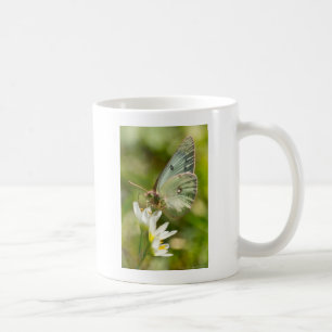 Green Moth on False Knolic Apparel and Gifts Kaffeetasse