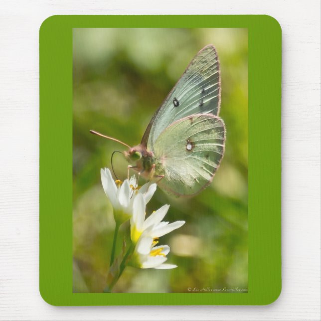 Green Moth on False Knolic Apparel and Gifts Mousepad (Vorne)