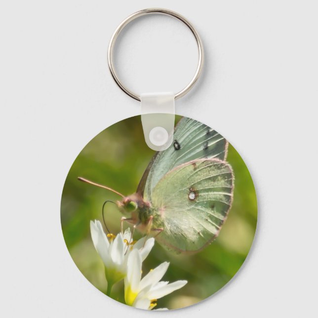 Green Moth on False Knolic Apparel and Gifts Schlüsselanhänger (Vorderseite)