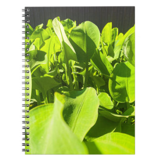 Green Oasis Notebook - Lush Green Pflanze Design Notizblock