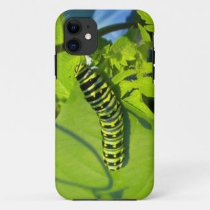 Green on Green Raupe iPhone 5 case