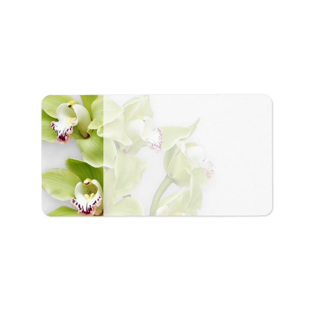 Green Orchid Blank Wedeladressen Labels Adressaufkleber (Vorne)