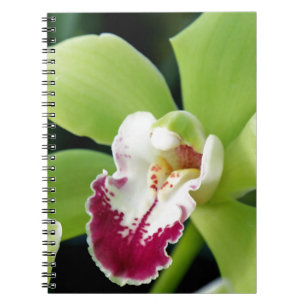 Green Orchid Notizblock