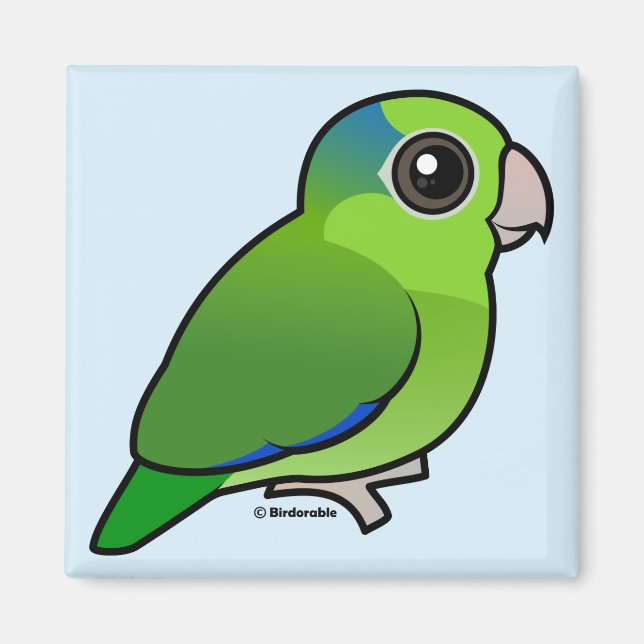 Green Pacific Parrotlet Magnet (Vorne)