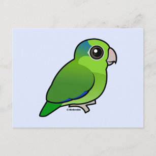 Green Pacific Parrotlet Postkarte