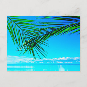 Green Palm in Blue Sky Postkarte