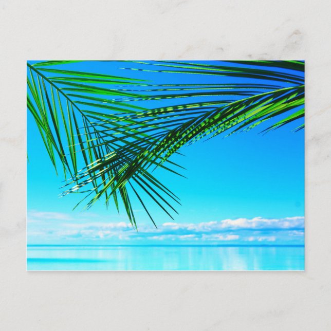 Green Palm in Blue Sky Postkarte (Vorderseite)