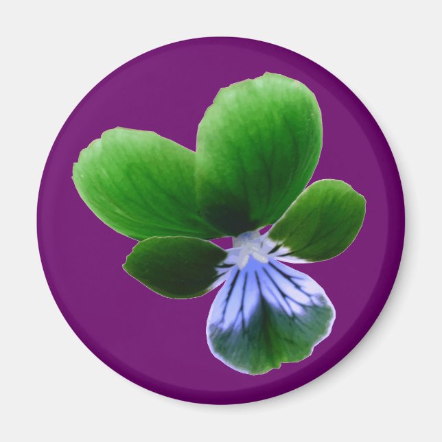 Green Pansy Magnet (Vorne)