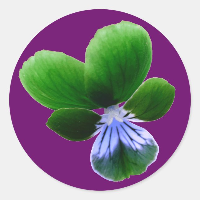 Green Pansy Sticker (Vorderseite)