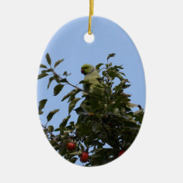 Green Parakeet Keramik Ornament