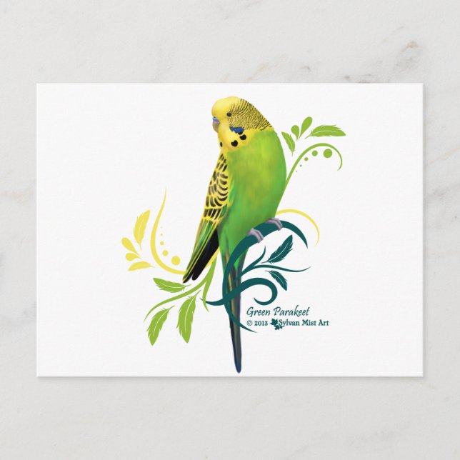 Green Parakeet Postkarte (Vorderseite)