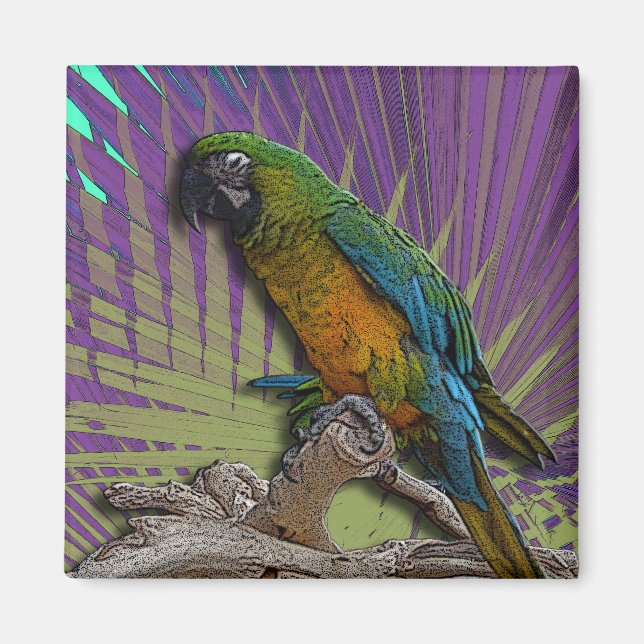 Green Parrot & Palms Magnet (Vorne)