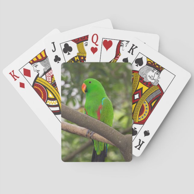 Green Parrot Portrait Spielkarten (Rückseite)