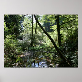 "Green Peace", Muir Woods Poster