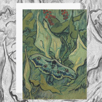 Green Peacock (Kaiser) Moth von Vincent van Gogh