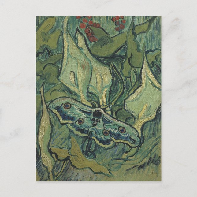 Green Peacock (Kaiser) Moth von Vincent van Gogh Postkarte (Vorderseite)