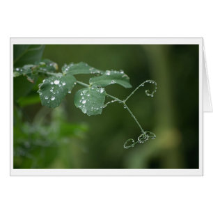 Green Pea's Tears Card