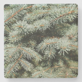 Green Pine Limbs Square Untersetzer