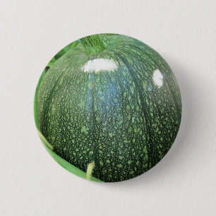 Green Pumpkin Button