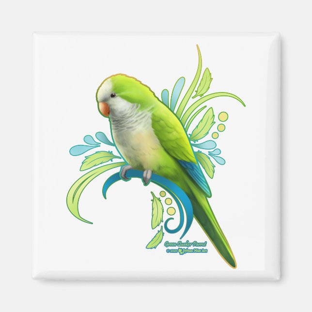 Green Quaker Parrot Magnet (Vorne)