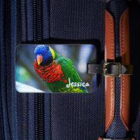 Green Red Blue Lorikeet Bird Individuelle Name Scr