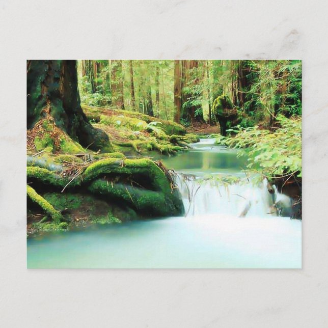 Green River Falls Postkarte (Vorderseite)