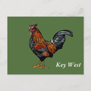 Green Rooster Key West Post Card Postkarte