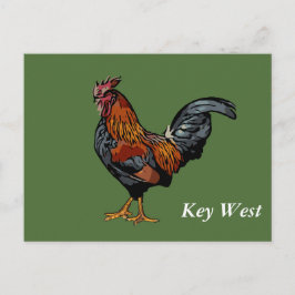 Green Rooster Key West Post Card Postkarte