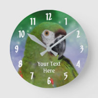 Green Severe Macaw Parrot