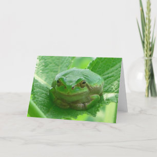 Green smiling Frog - close up Karte