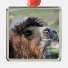 Green Smoothie the Camel Ornament Aus Metall