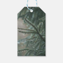 Green spruce tree close-up, Christmas aesthetic Geschenkanhänger