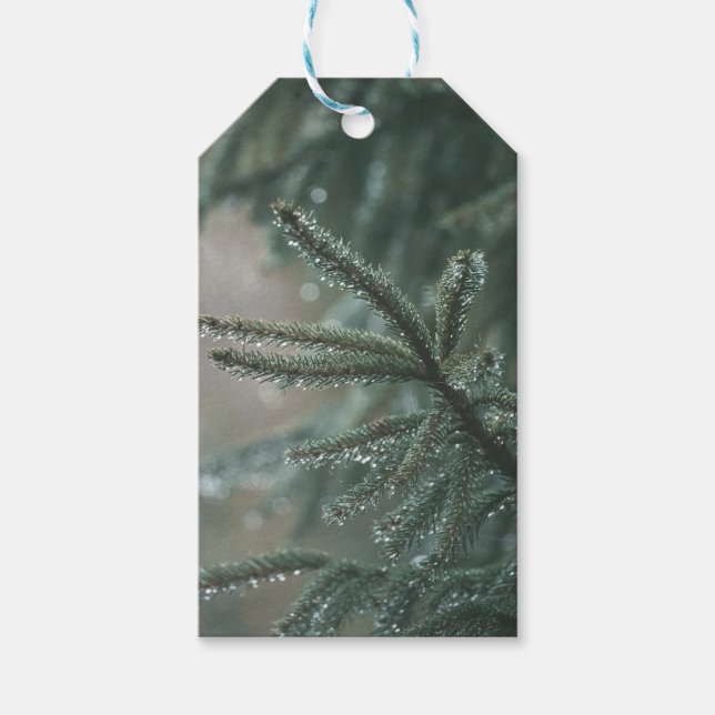 Green spruce tree close-up, Christmas aesthetic Geschenkanhänger (Vorderseite)