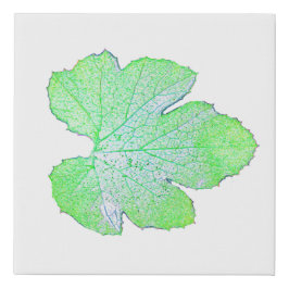 Green Squash Leaf Minimalismus Wrapped Canvas Prin Künstlicher Leinwanddruck